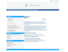 Tablet Screenshot of euroenergygroup.com